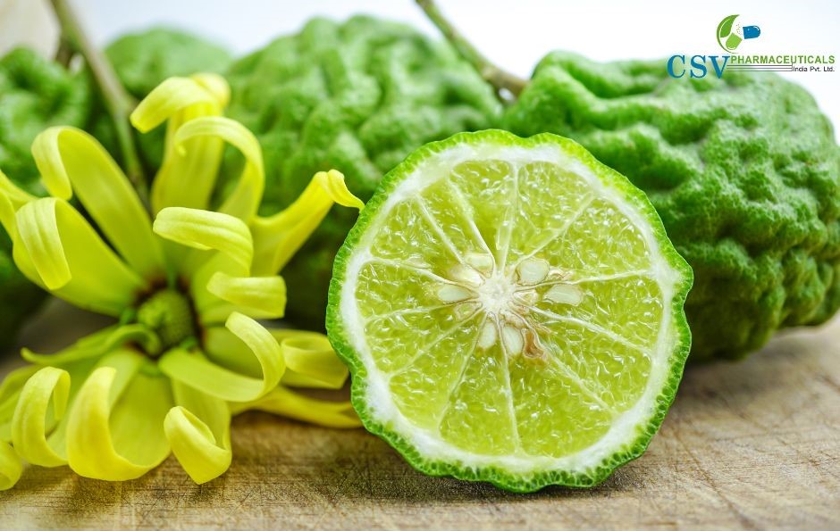 PC Bergamot Touch