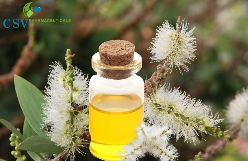 Cajuput Oil