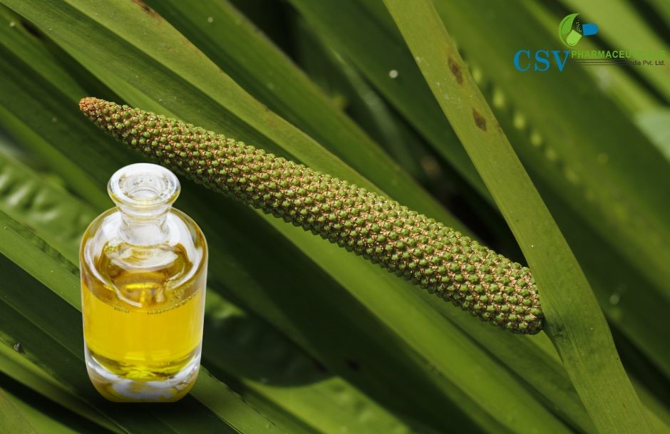Calamus Oil