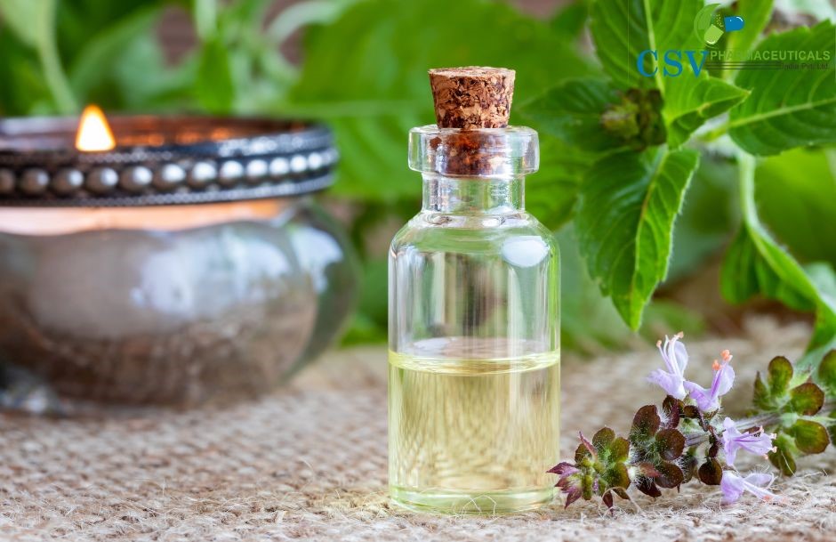 Organic Basil Oil (ocimum basillium)