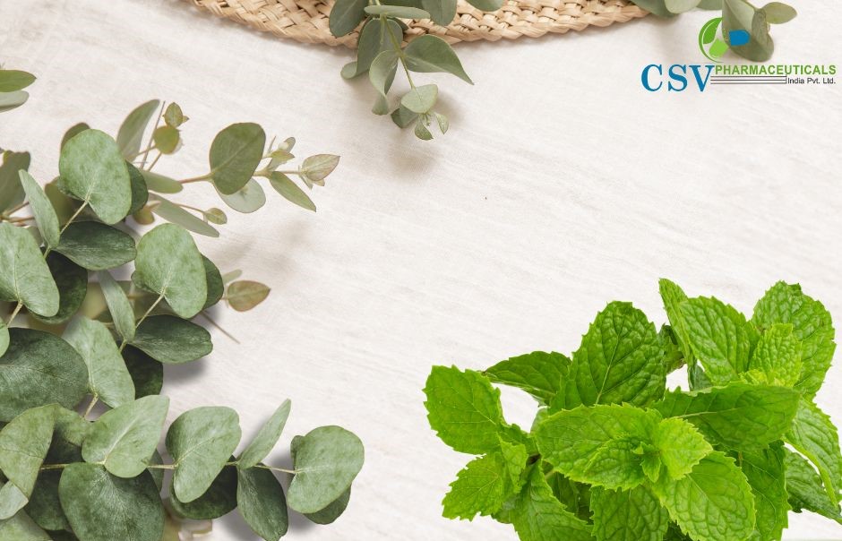 PC Eucalyptus +Mint