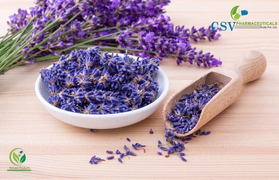 PC Lavender & Patchouli