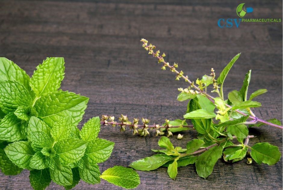 PC Mint Tulsi