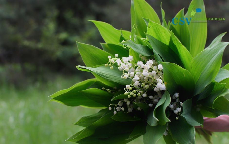 PC Floral Green