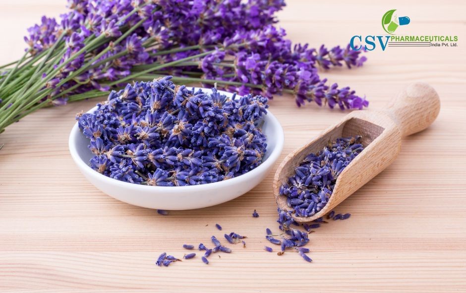 PC Fancy Lavender