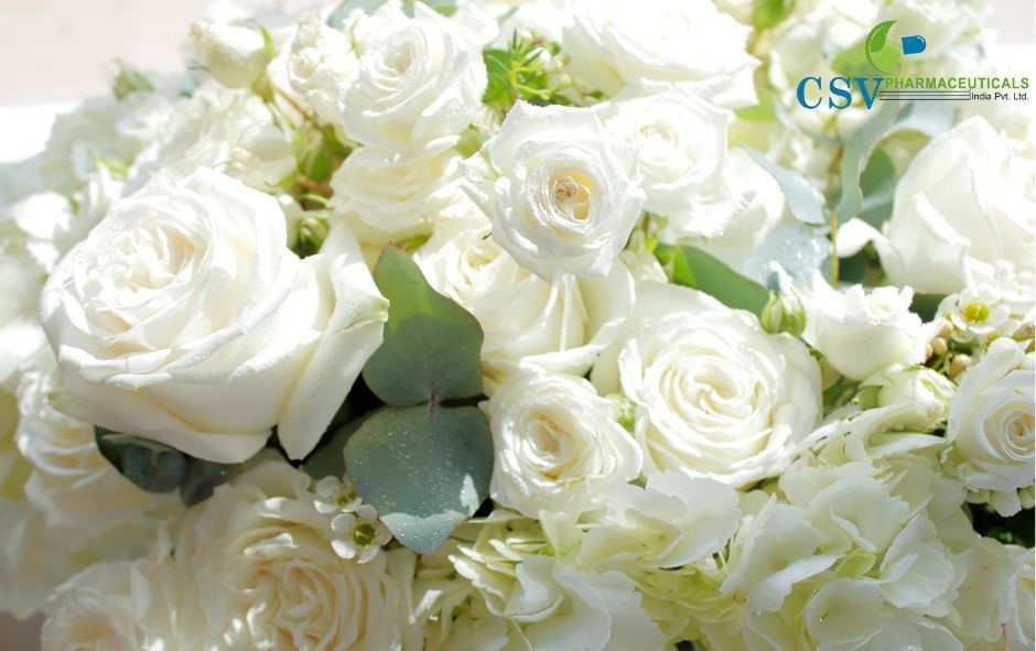 PC White Rose