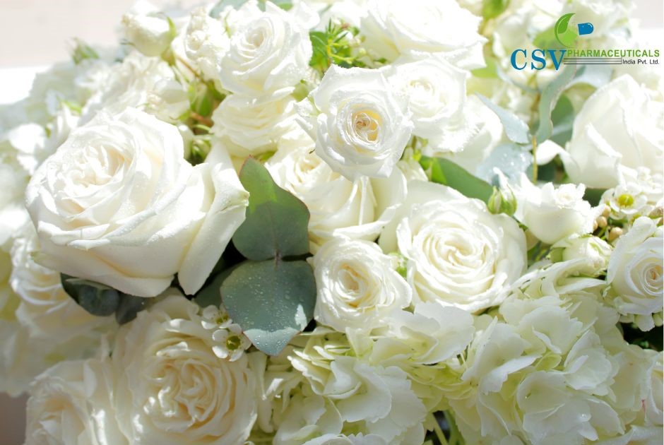 PC White Rose