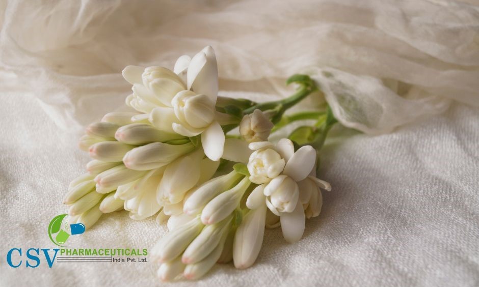 PC Tuberose